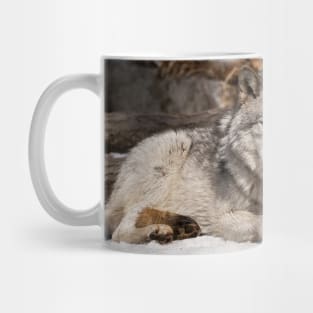 Timber Wolf Mug